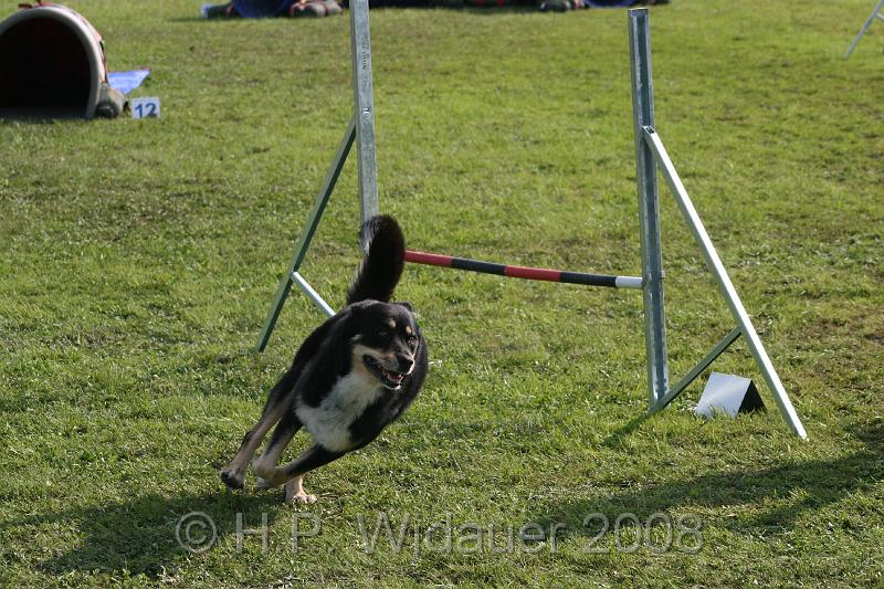 jubil.lusten3 149.jpg